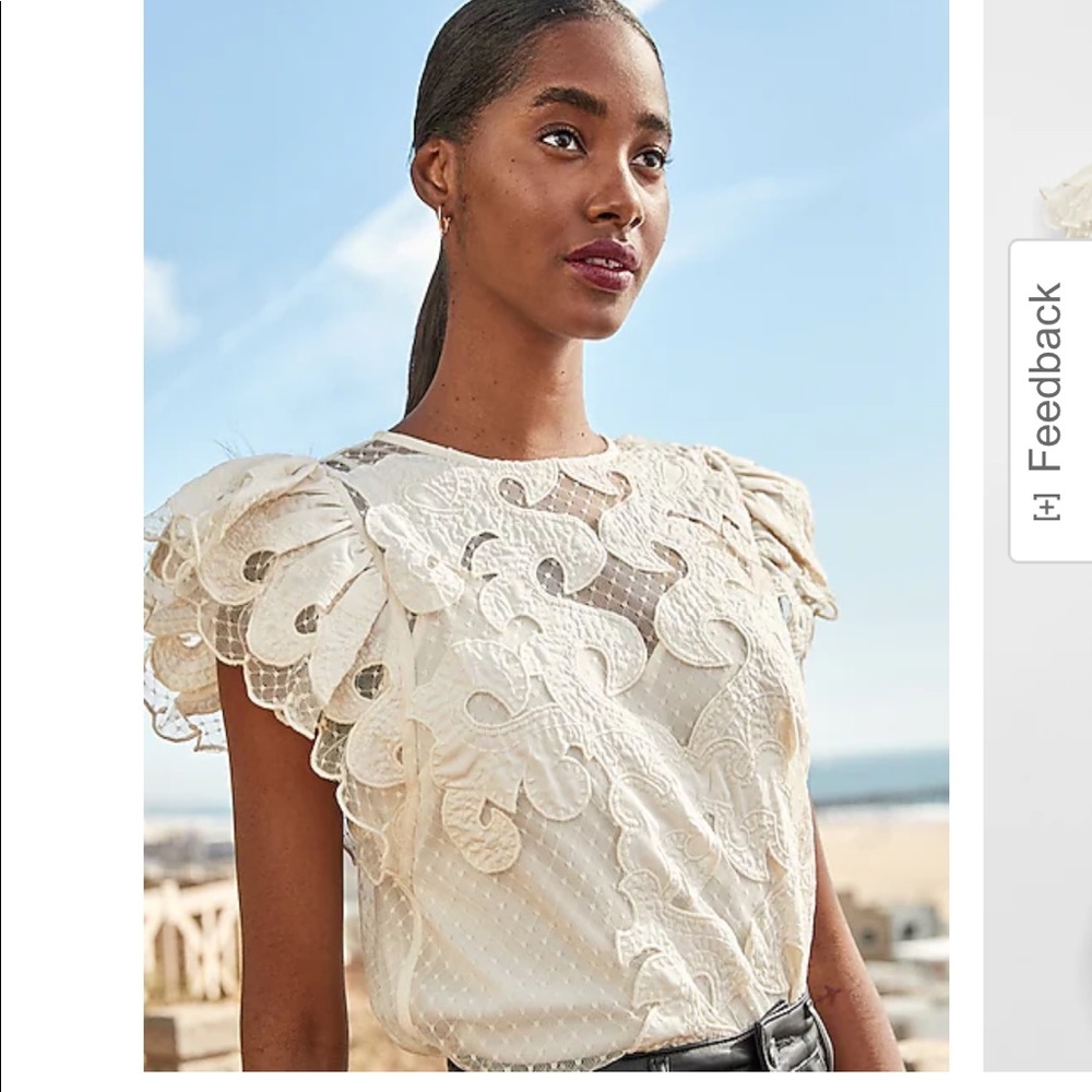 Sheer Lace Short Ruffle Sleeve Top - Express